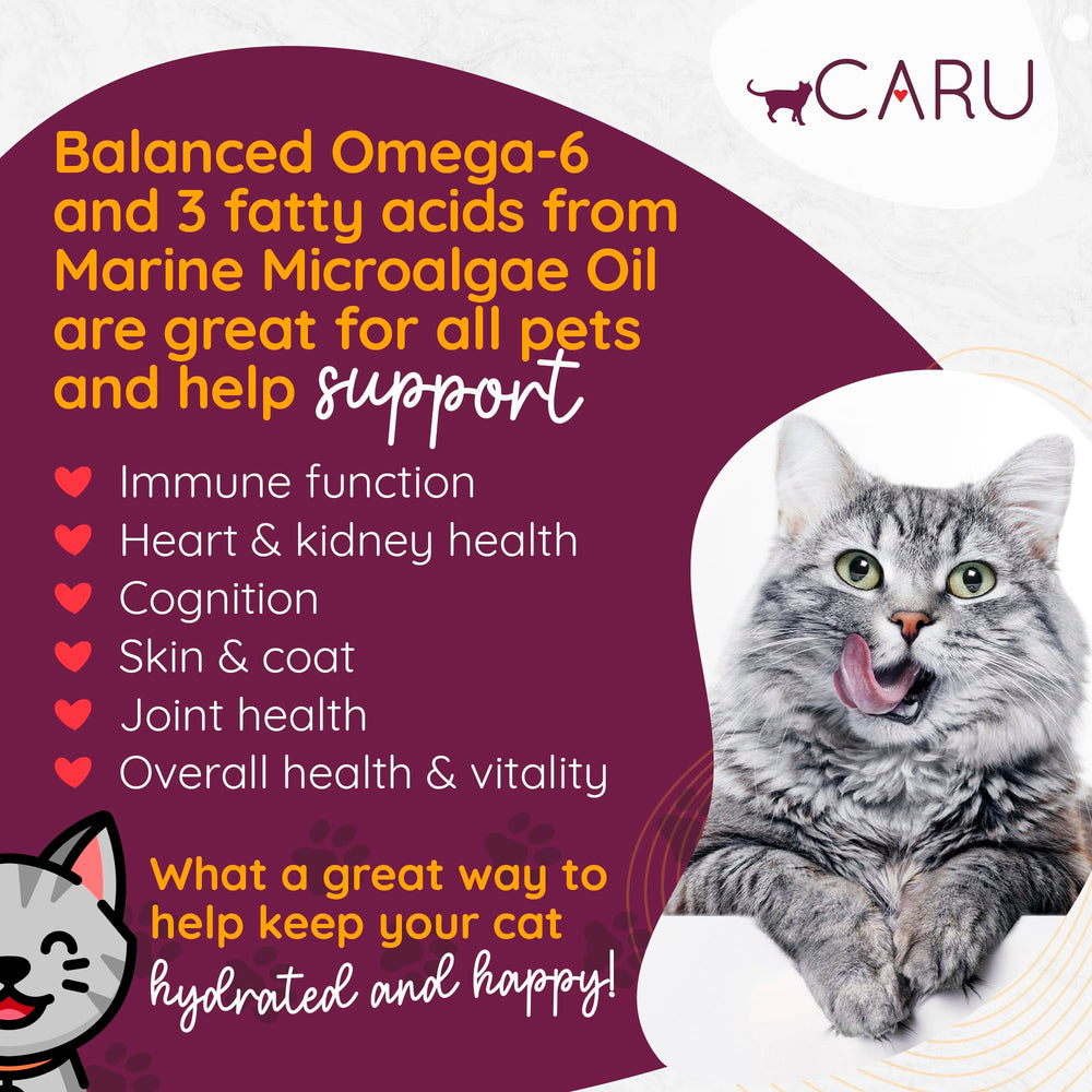 Caru ouverture montrant ragoût humide appétissant bénéfique digestion