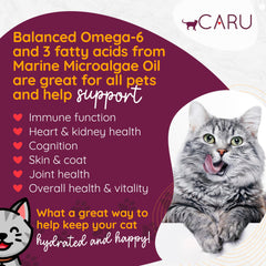 Caru ouverture montrant ragoût humide appétissant bénéfique digestion