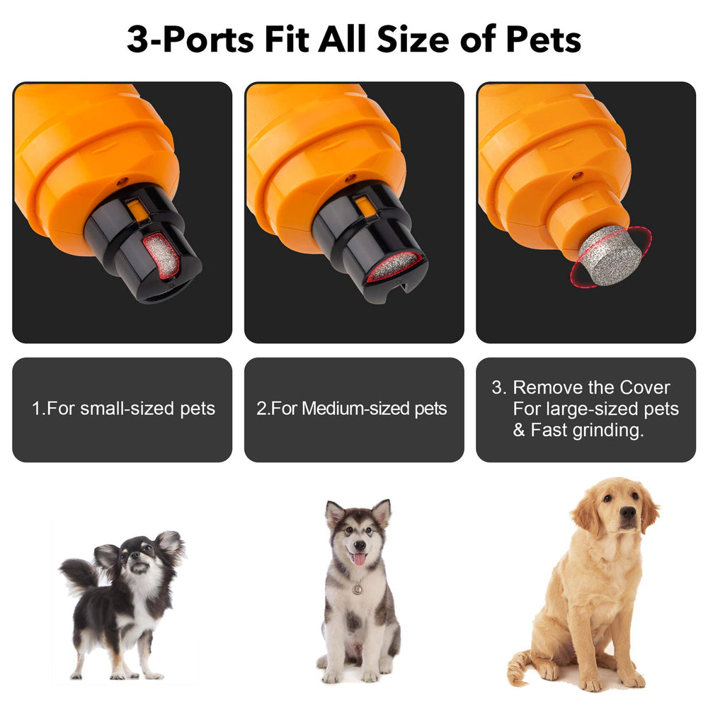 Casfuy en usage sur chien réduisant stress et facilitant la tonte des griffes