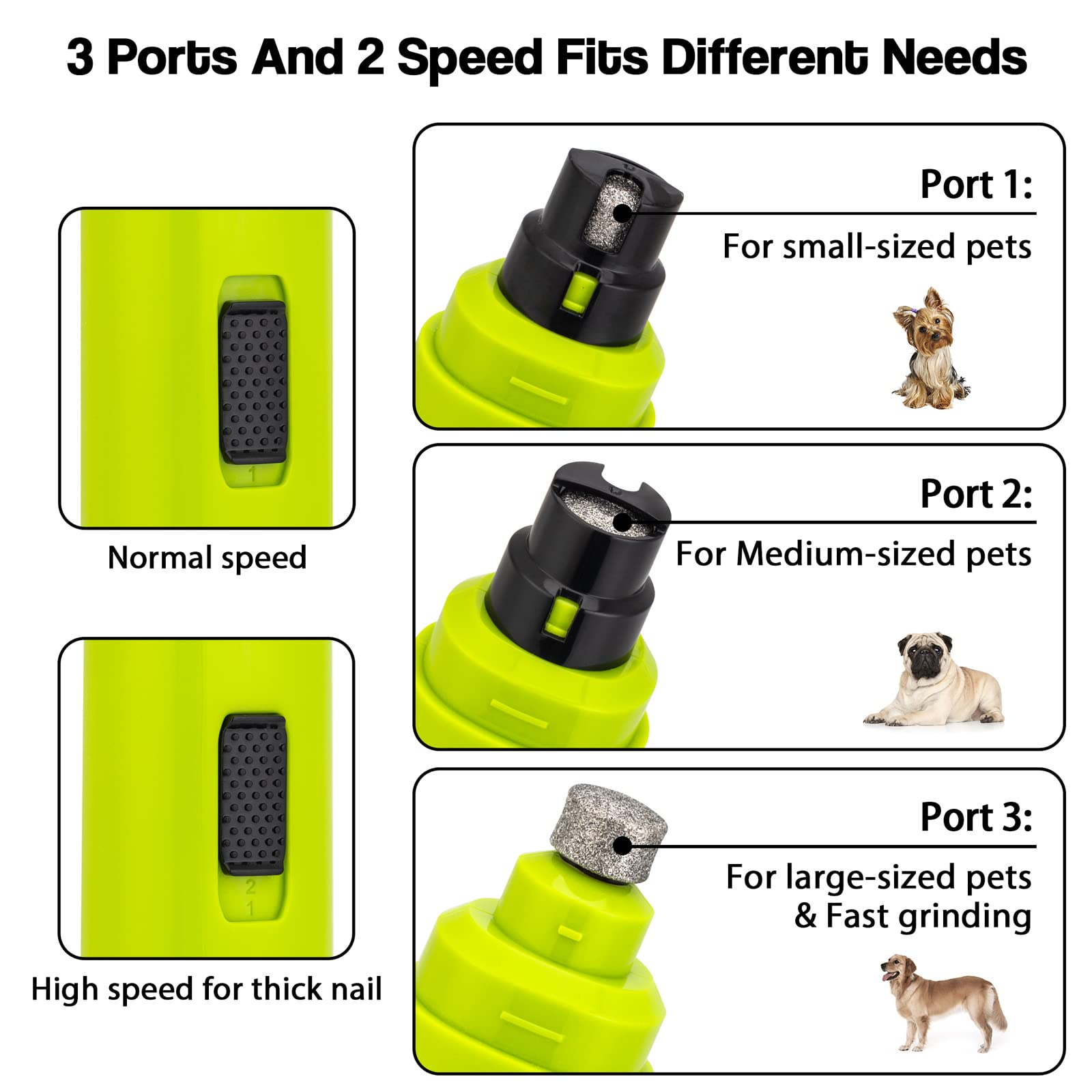 Casfuy comparaison taille avec patte de chien montrant adaptation aux grandes griffes