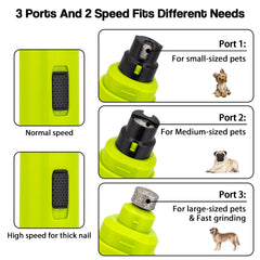 Casfuy comparaison taille avec patte de chien montrant adaptation aux grandes griffes