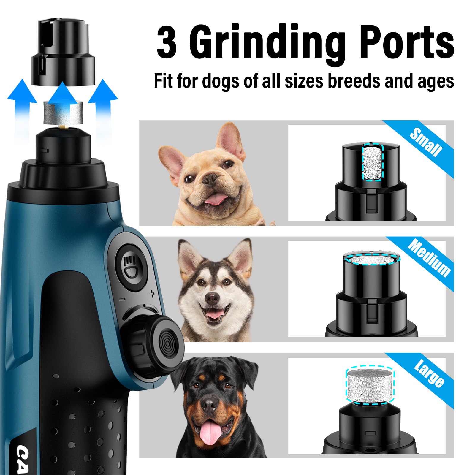 Casfuy comparatif taille montrant outil face à ongles de chien et chat
