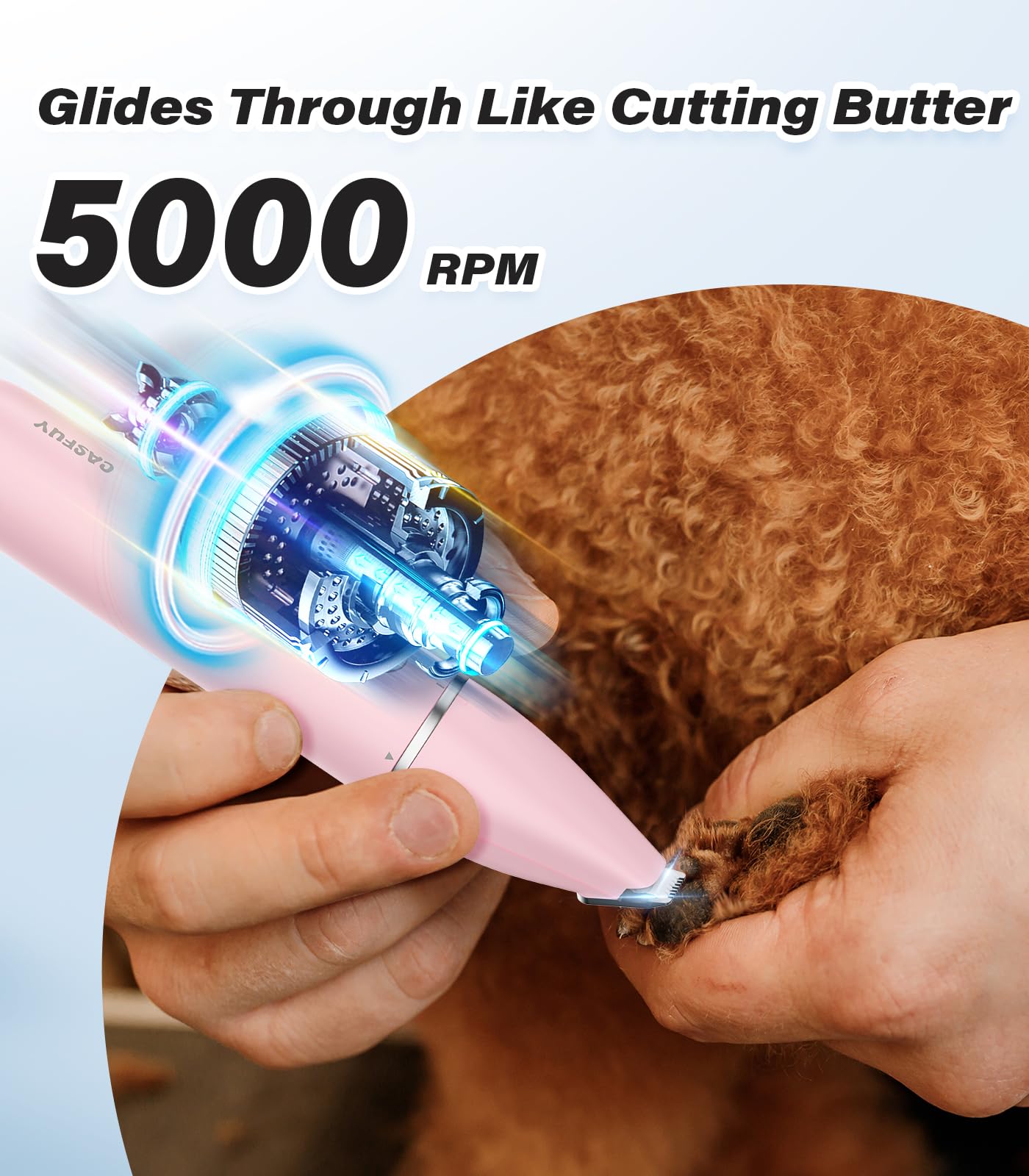 Casfuy en usage sur patte de chien pour retouches rapides et sans stress