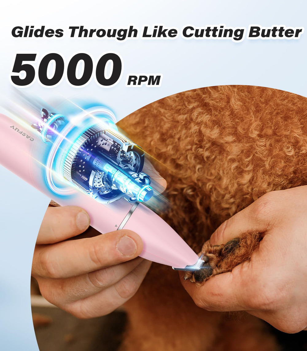 Casfuy en usage sur patte de chien pour retouches rapides et sans stress