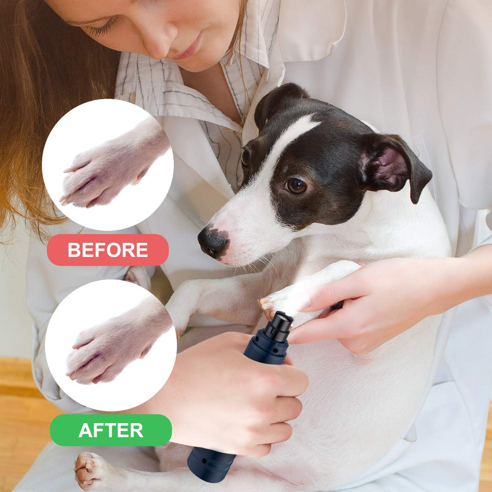 Casfuy utilisation domestique avec chien réduisant stress