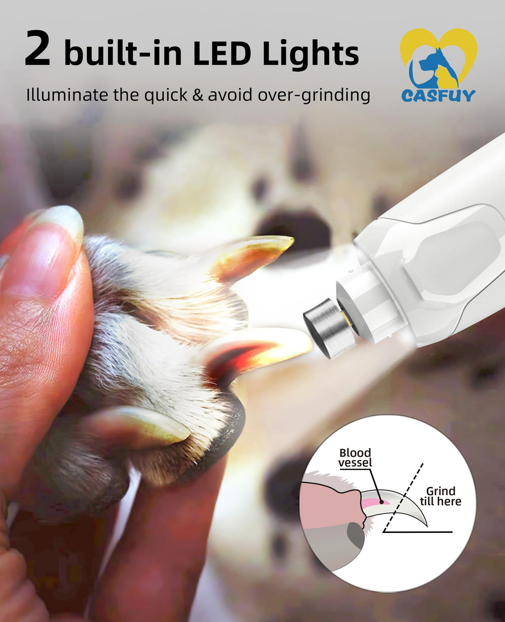 Casfuy limant ongle de chaton avec LED pour plus de sécurité