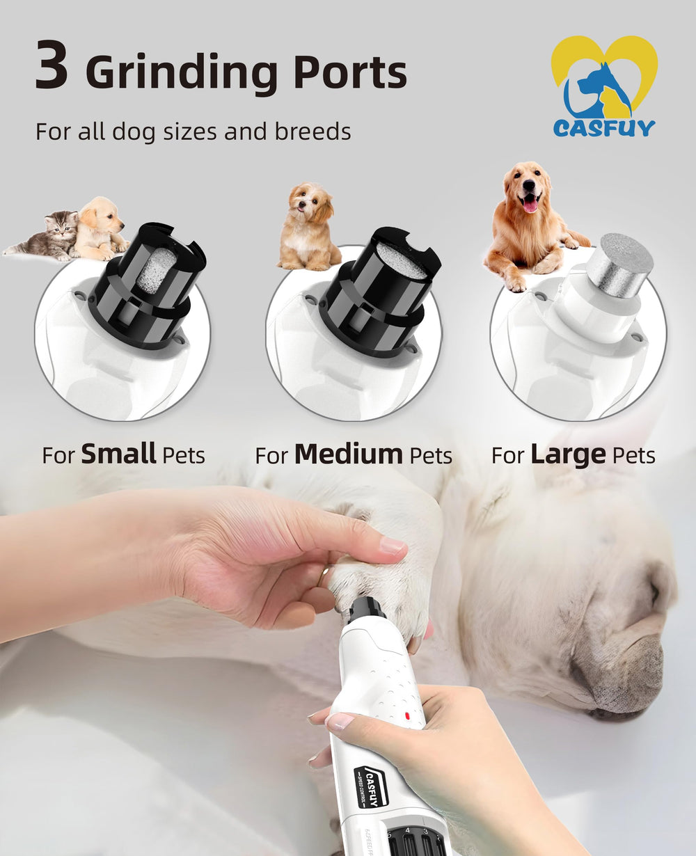 Casfuy en usage sur chien adulte réduisant stress et bruit