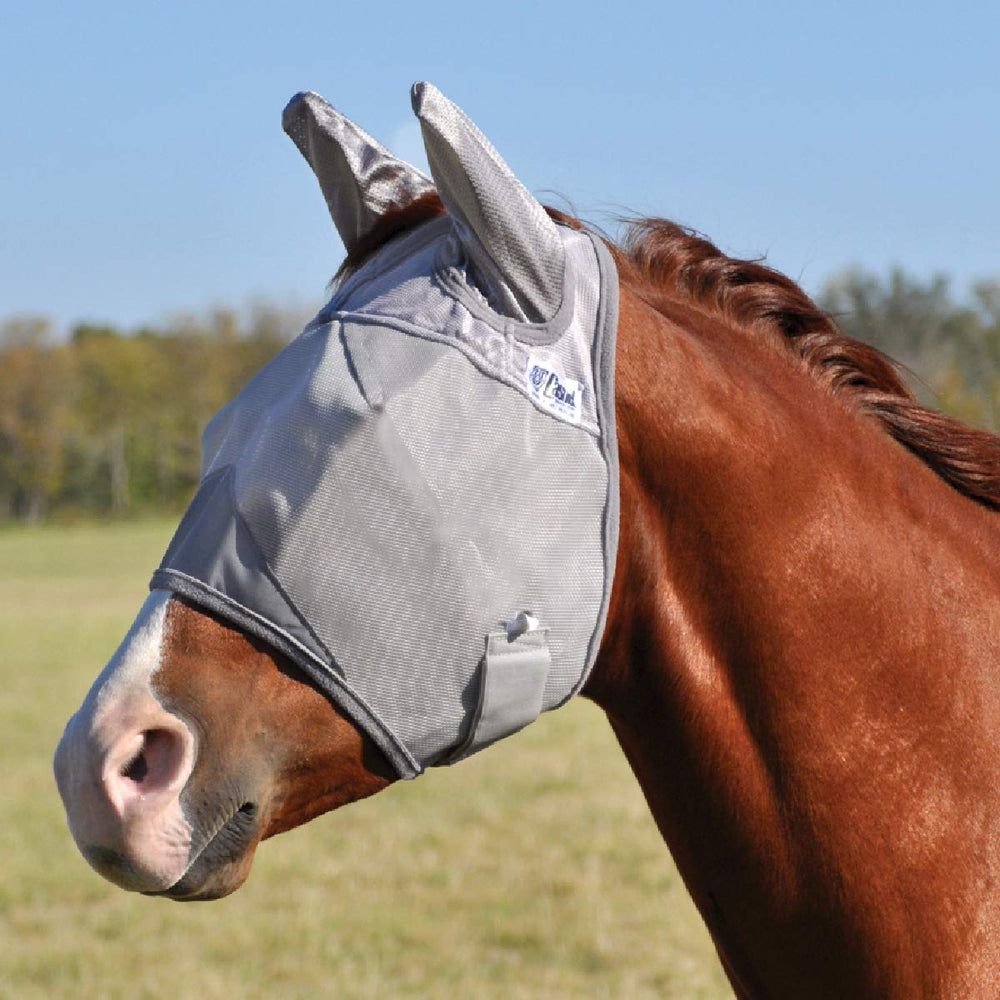 Cashel Crusader gros plan sur le maillage respirant pour protection durable