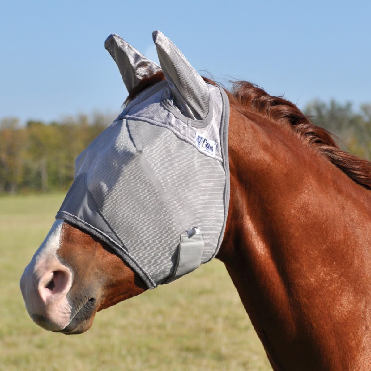Cashel Crusader masque anti-mouches face avant gris montrant maintien confortable