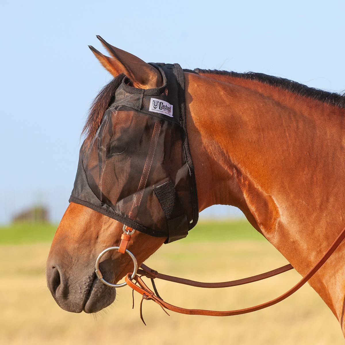 Cashel masque Quiet Ride gros plan maillage respirant et protecteur