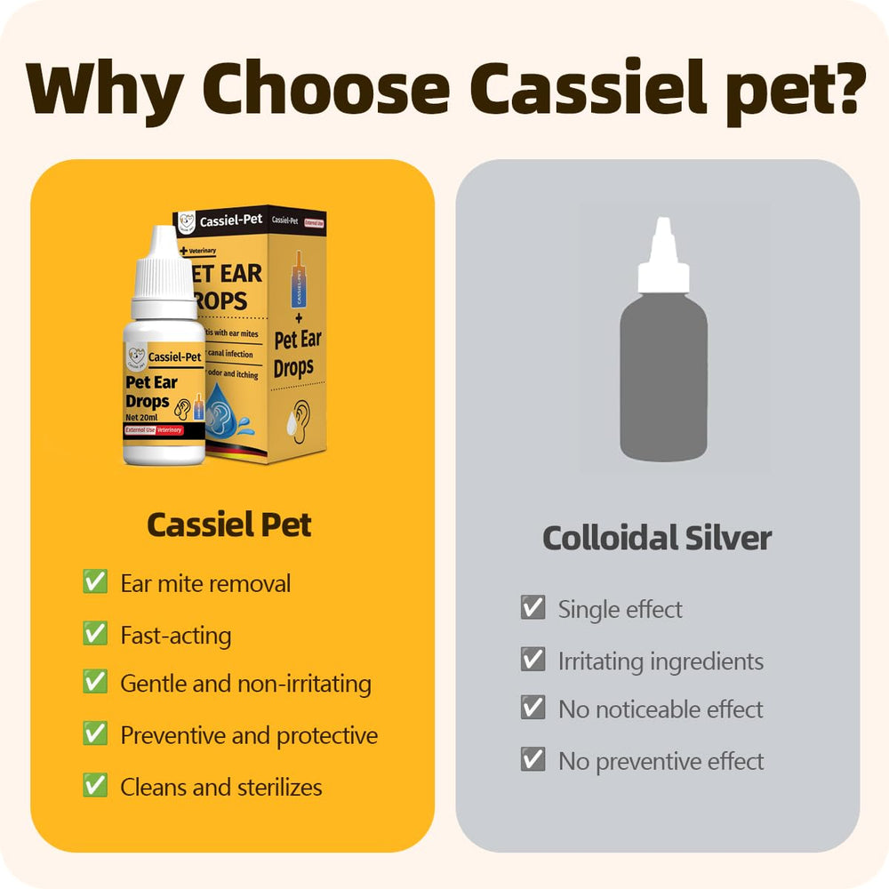 Cassiel pet flacon à côté d'une règle, comparaison de taille pour visualiser le 20 ml