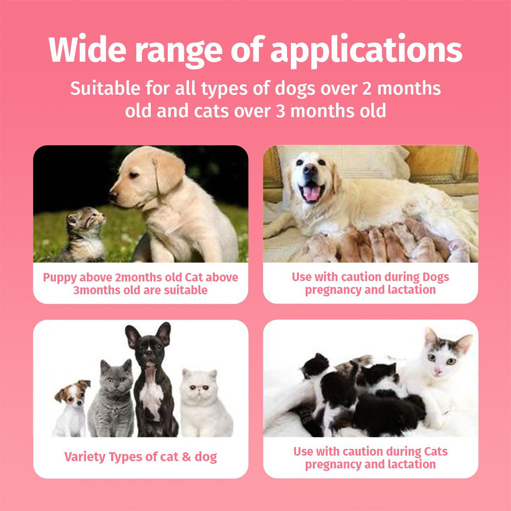 Cassiel pet kit soins animaux présentant accompagnement pour plaies mineures