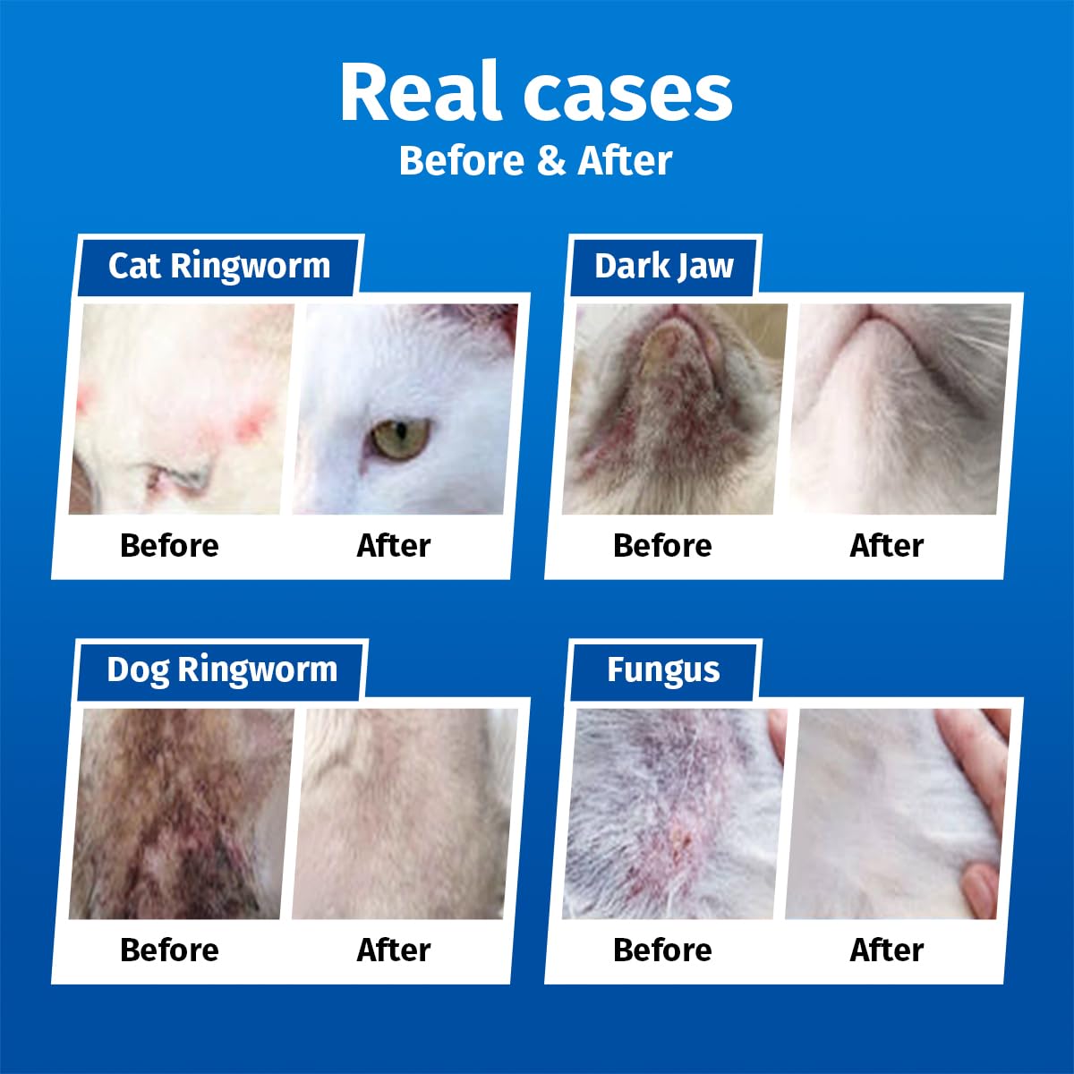 Cassiel pet texture du produit en goutte illustrant une formule douce non grasse