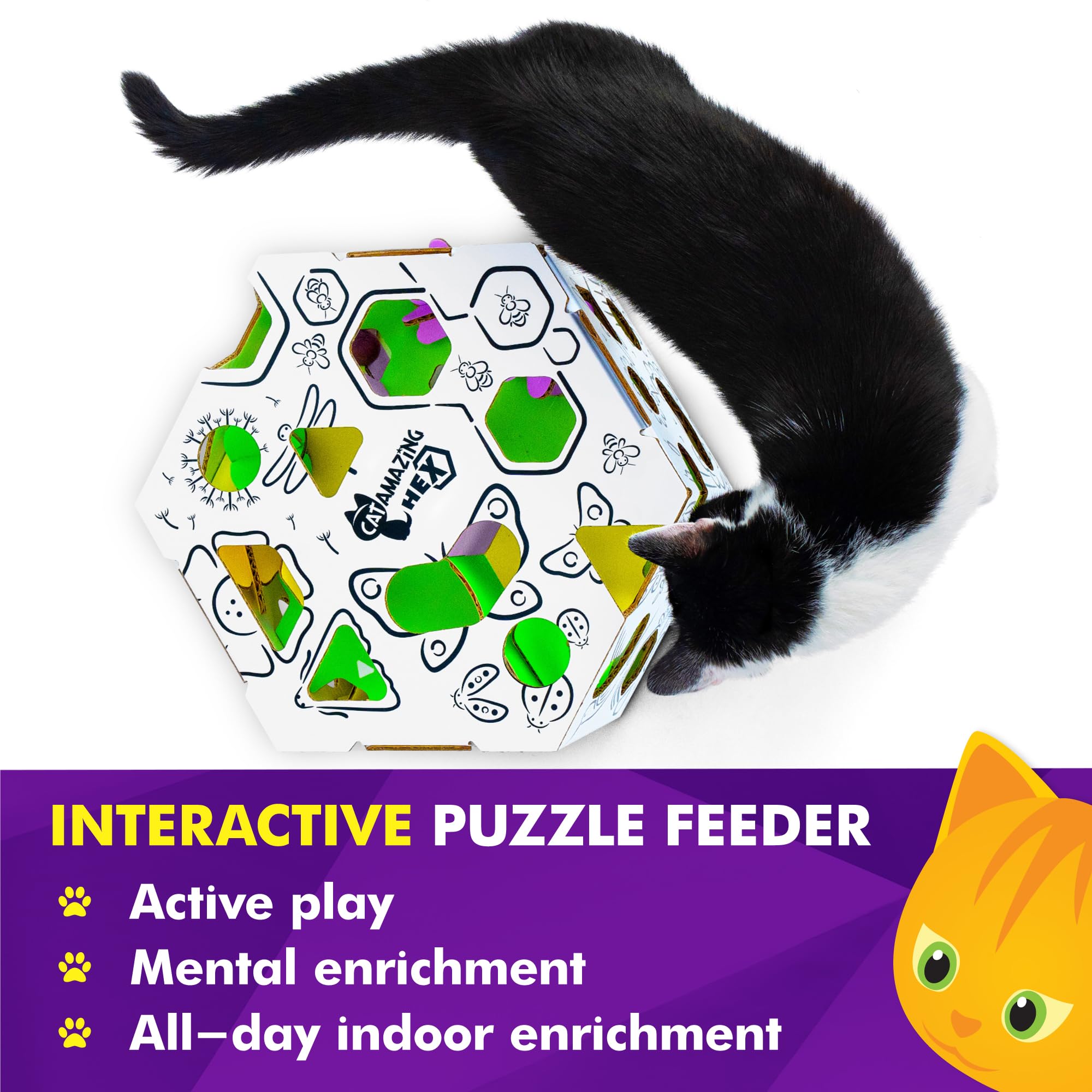 Cat Amazing HEX vue intérieur compartiments optimisant distribution friandises