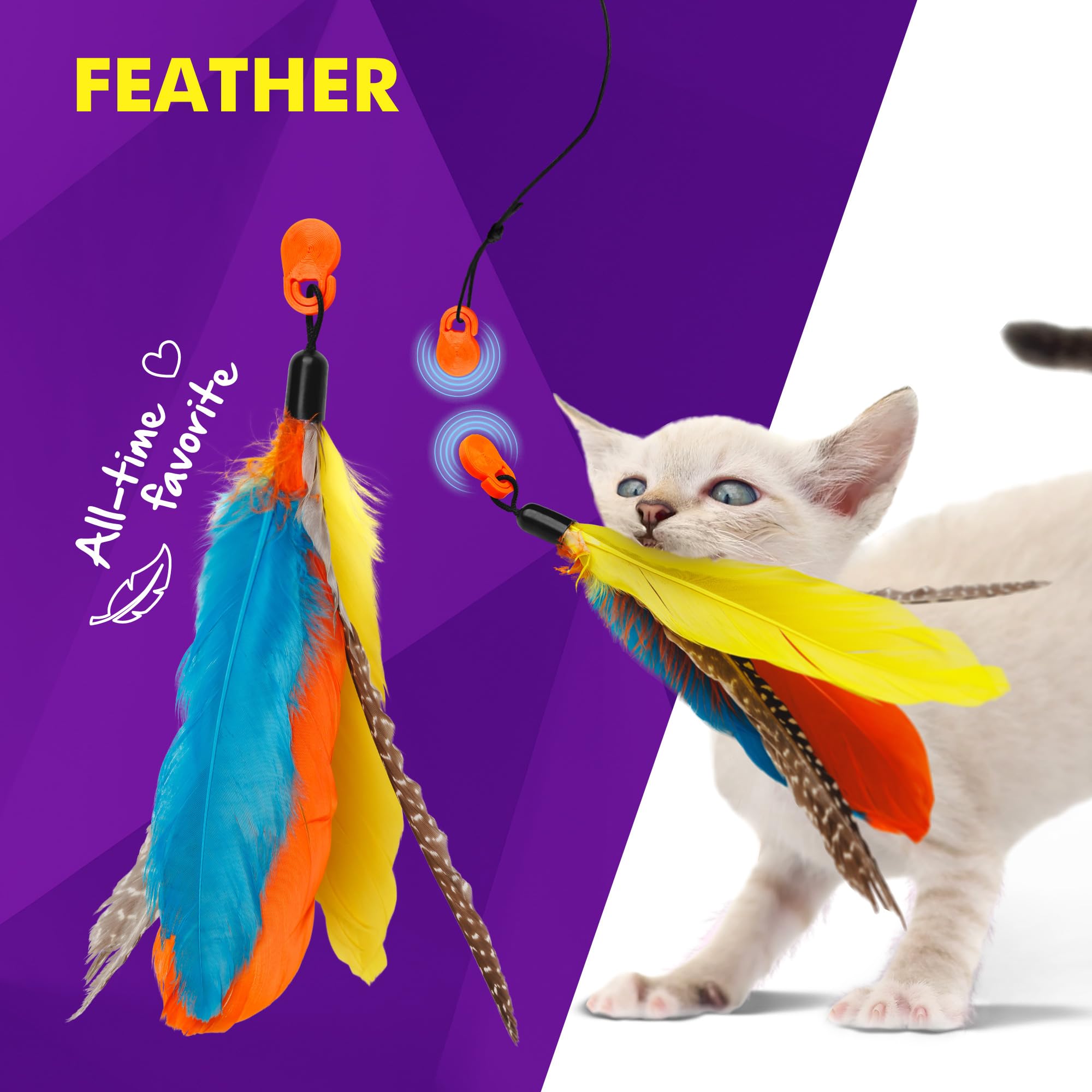 Cat Amazing Rattlesnake détail grelot, son attractif pour chasser