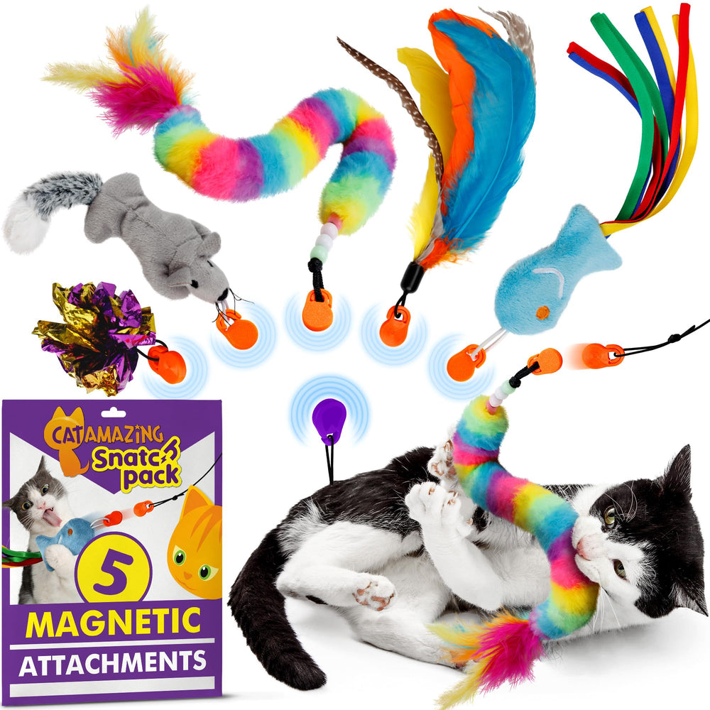 Cat Amazing emballage et embouts visibles, montre la diversité ludique