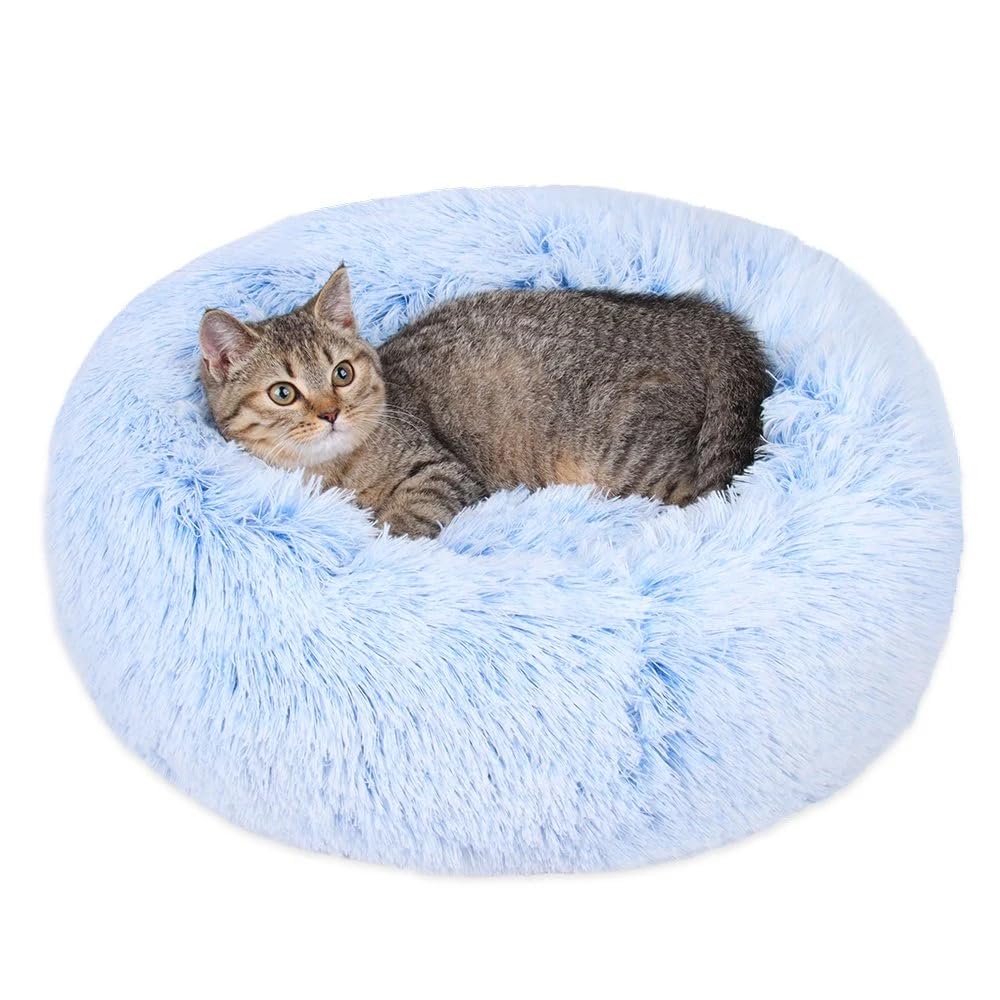 Generic cat bed vue avant avec couleur cornflower blue et ouverture accueillante pour confort