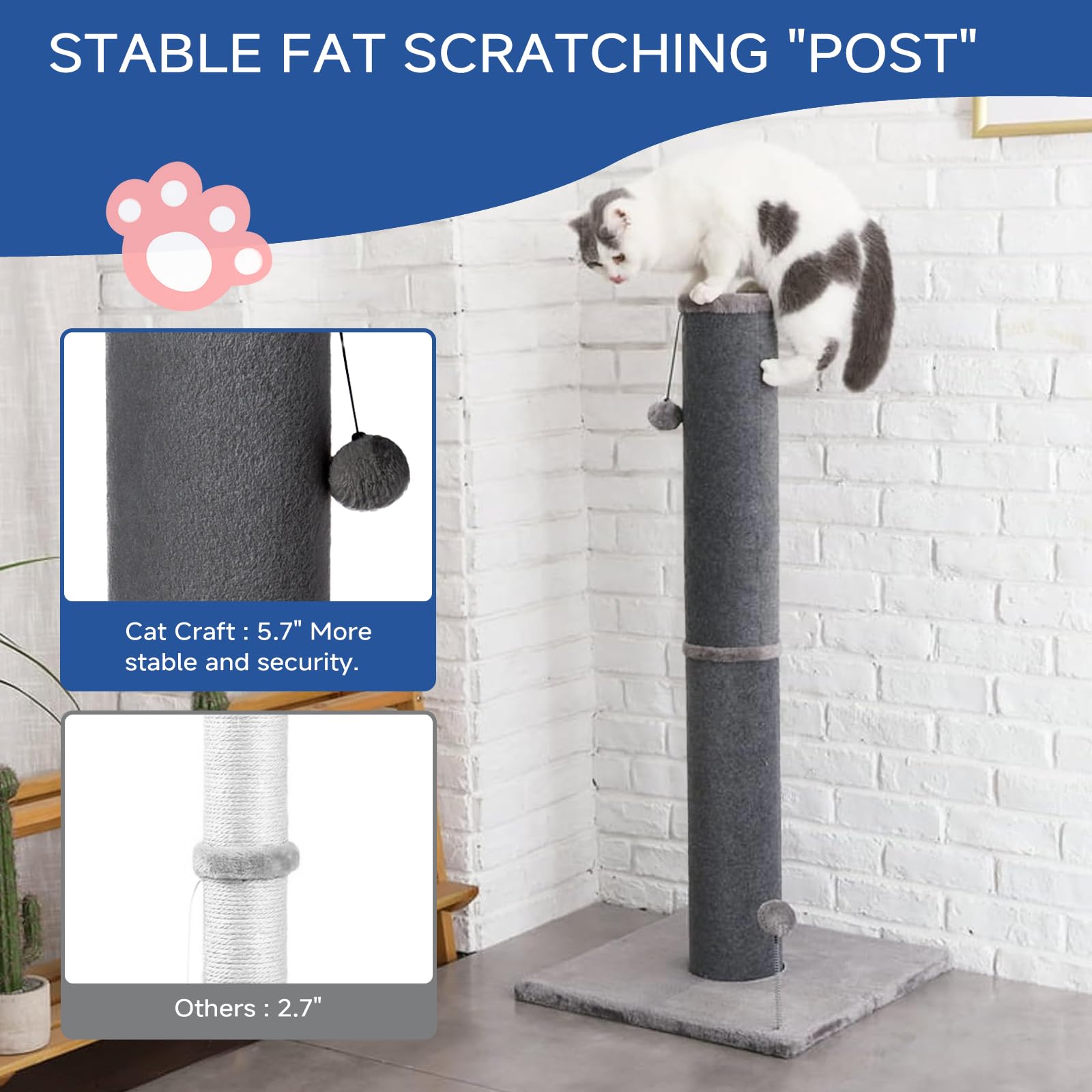 Cat Craft base large stable qui empêche le basculement pendant le jeu