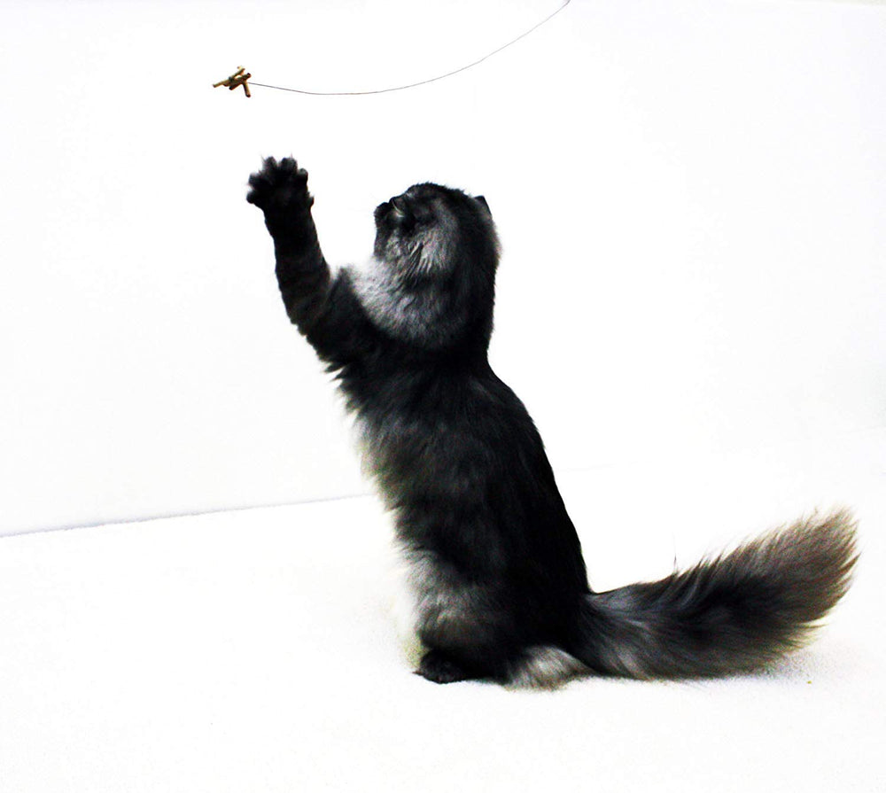 Cat Dancer jouet en action sur le sol avec chat jouant et stimulation visible