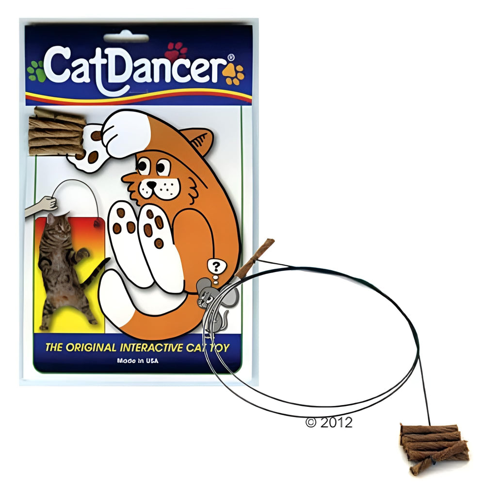 Cat Dancer comparaison taille main montre dimensions et facilité de manipulation