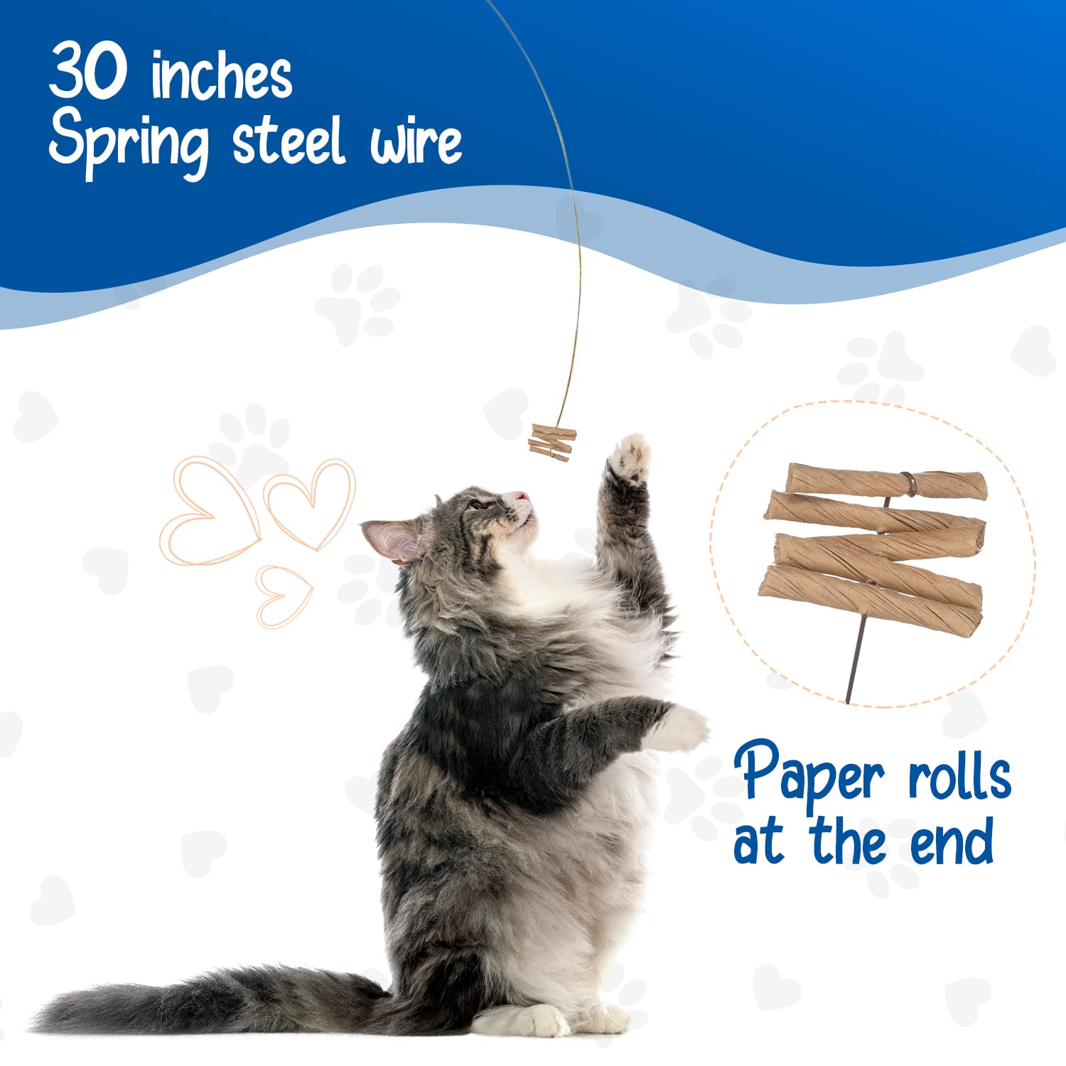 Cat Dancer en action avec chat sautant, favorise exercice et agilité
