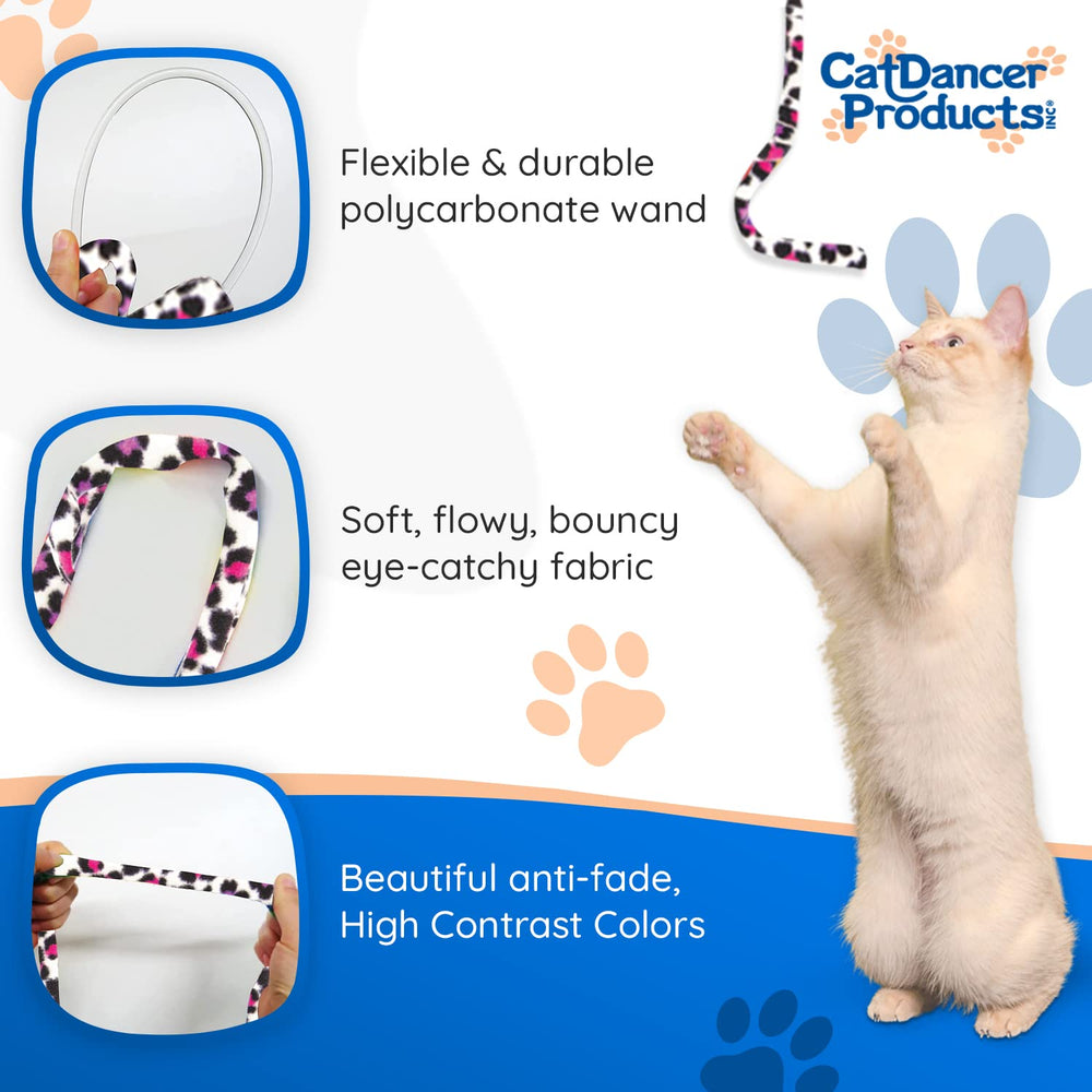Chaton jouant avec Cat Dancer Jungle en action augmentant activité et amusement bénéfice exercice