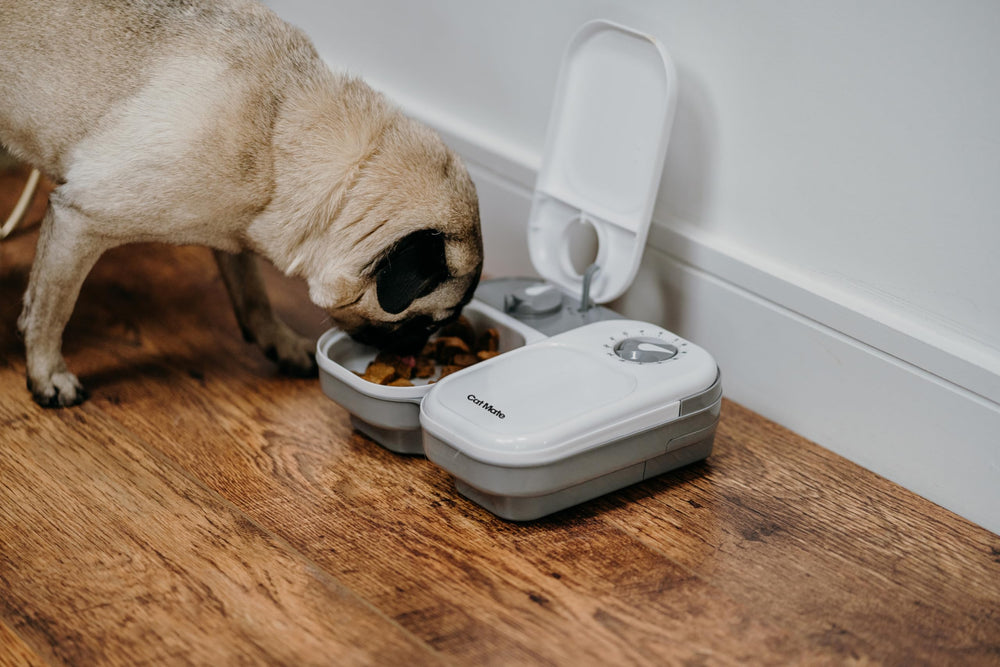 Cat Mate appareil posé dans cuisine montrant intégration et gain de temps