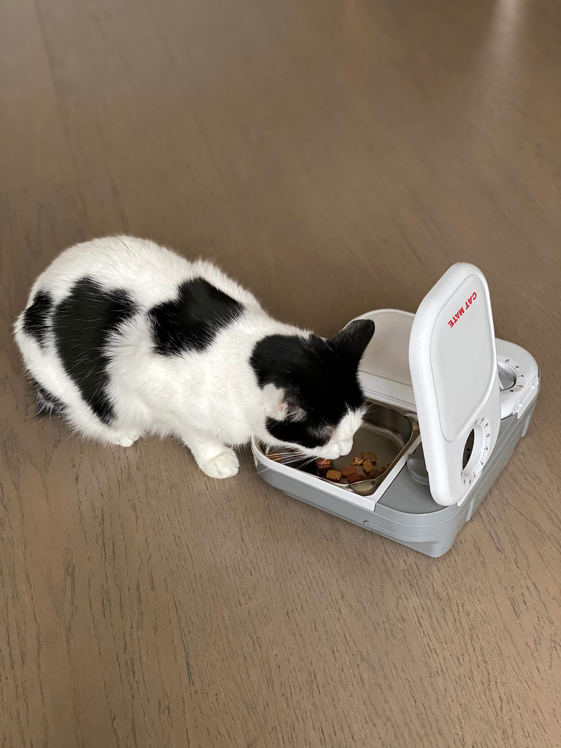 Cat Mate bol inox rempli de nourriture humide facilitant le nettoyage