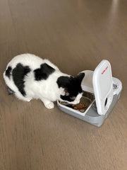 Cat Mate bol inox rempli de nourriture humide facilitant le nettoyage