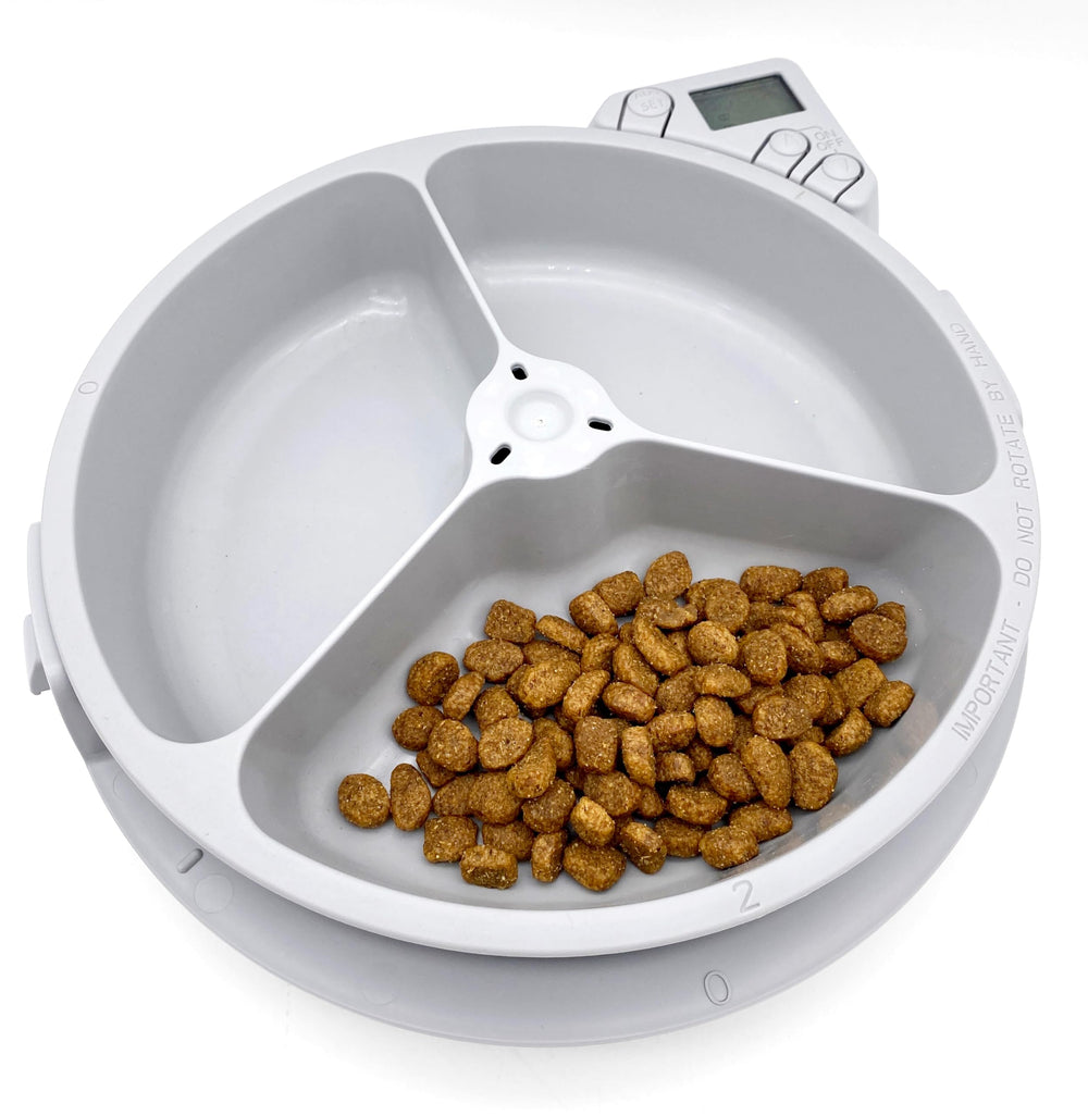 Cat Mate C300 en usage avec chat liberté de repas et hygiène