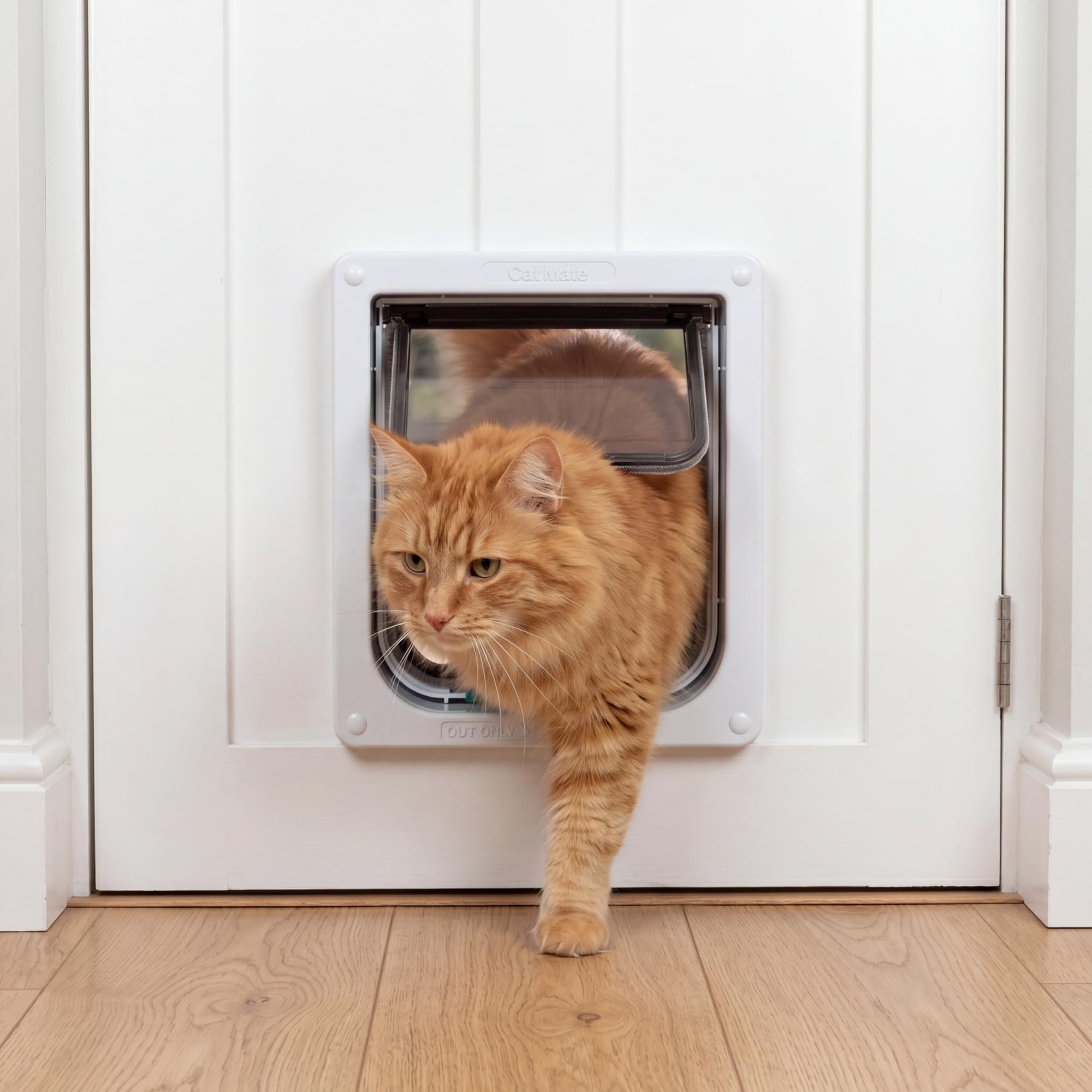 Cat Mate liner Mable gros plan sur la coupe pour installation nette