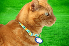Cat Mate médaille gros plan du connecteur et marquage pour reconnaissance rapide