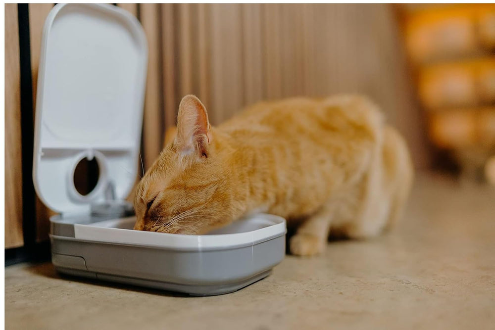 Cat Mate ouverture du réservoir, remplissage rapide et pratique
