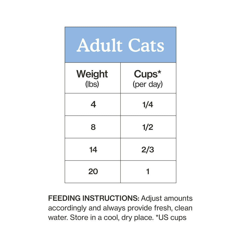 Cat Person comparaison taille montrant échelle du produit pratique