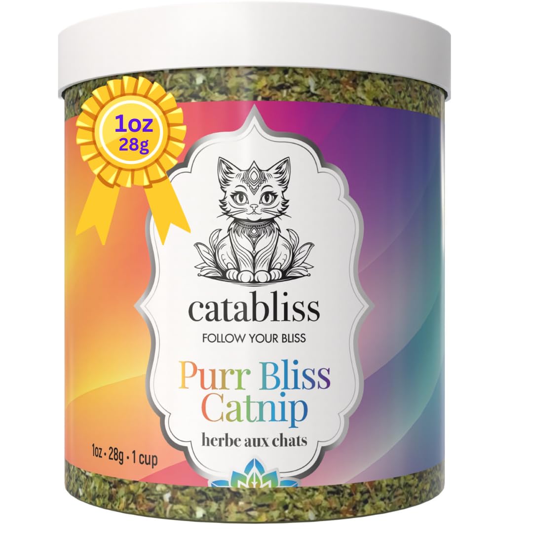 catabliss pot face montrant format compact et conservation pratique