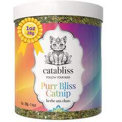 catabliss pot face montrant format compact et conservation pratique