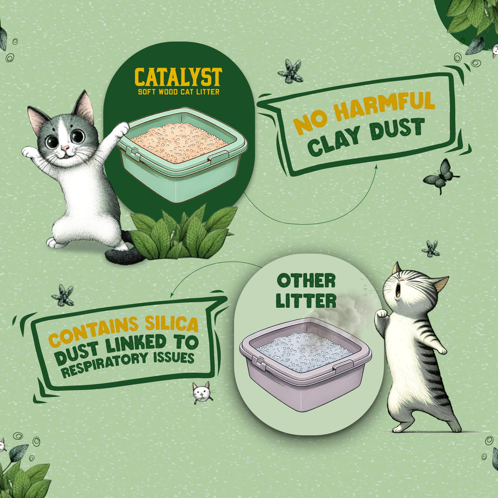 Catalyst comparaison de poids illustrant sac léger et manutention aisée