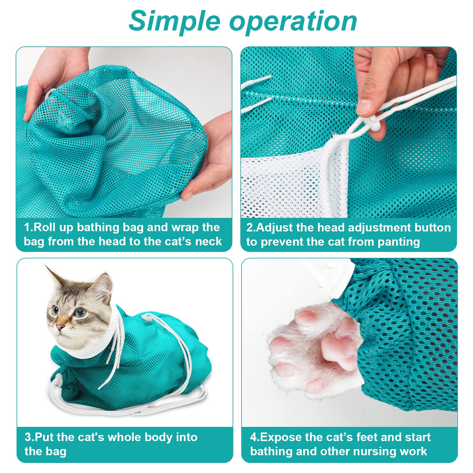 Catcan comparaison taille montrant adaptation à différents chats