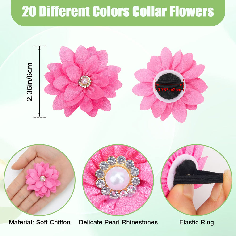 Catcan assortiment de couleurs, permet variations de style