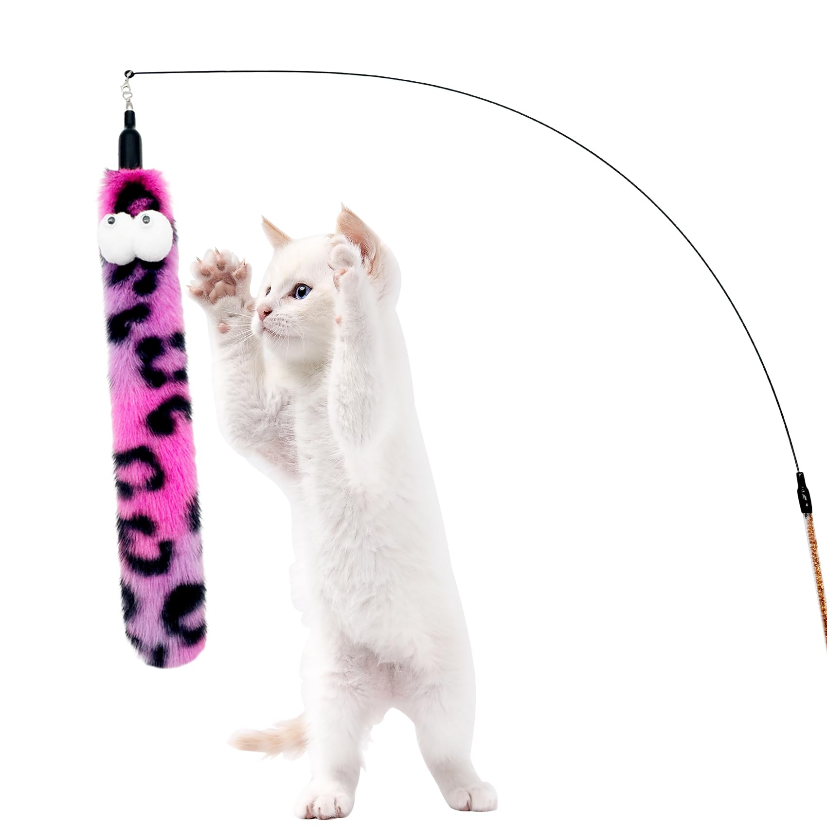 CATDABIR recharges à l'échelle de la main , montre la taille pratique et maniable