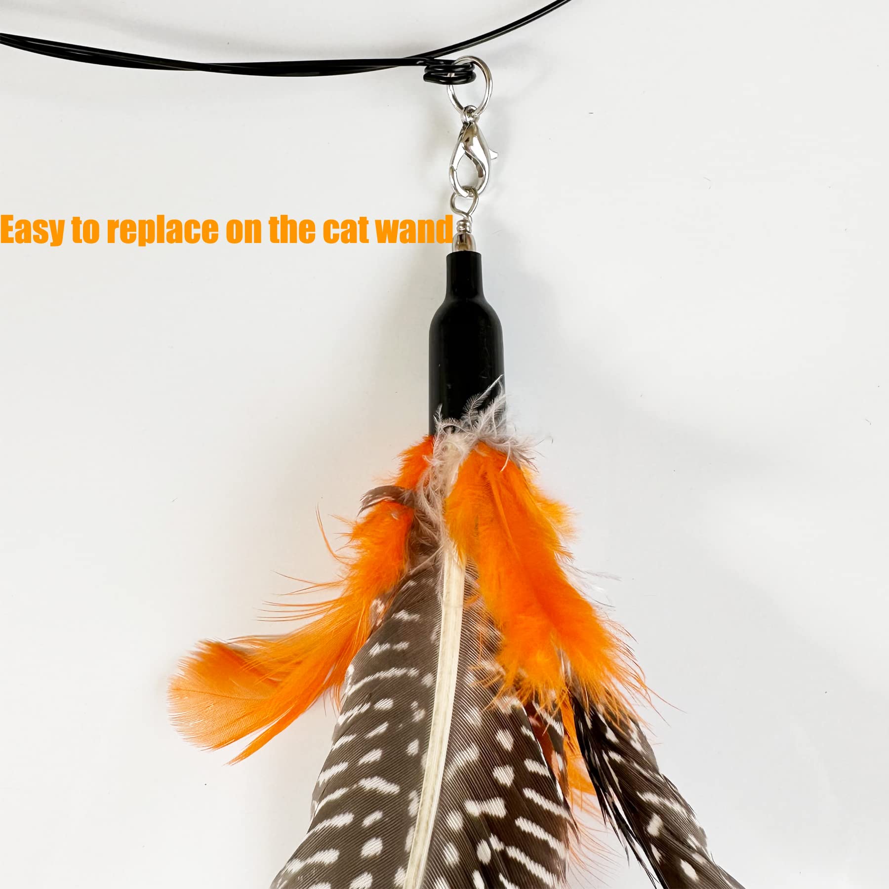CATENEED chat en pleine chasse illustrant stimulation et exercice amusant