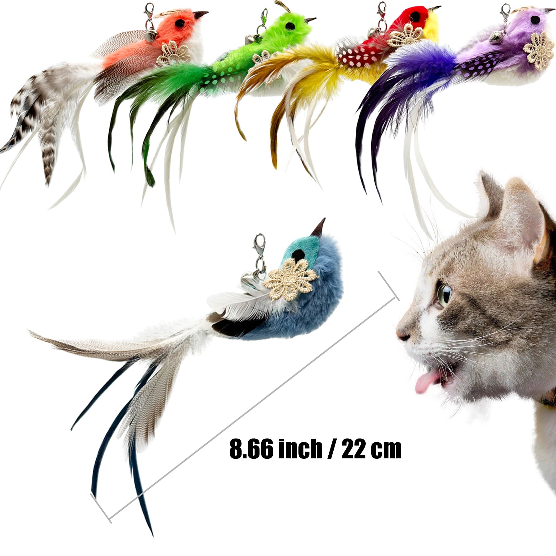 CATENEED plume en action avec chat sautant, encourage exercice