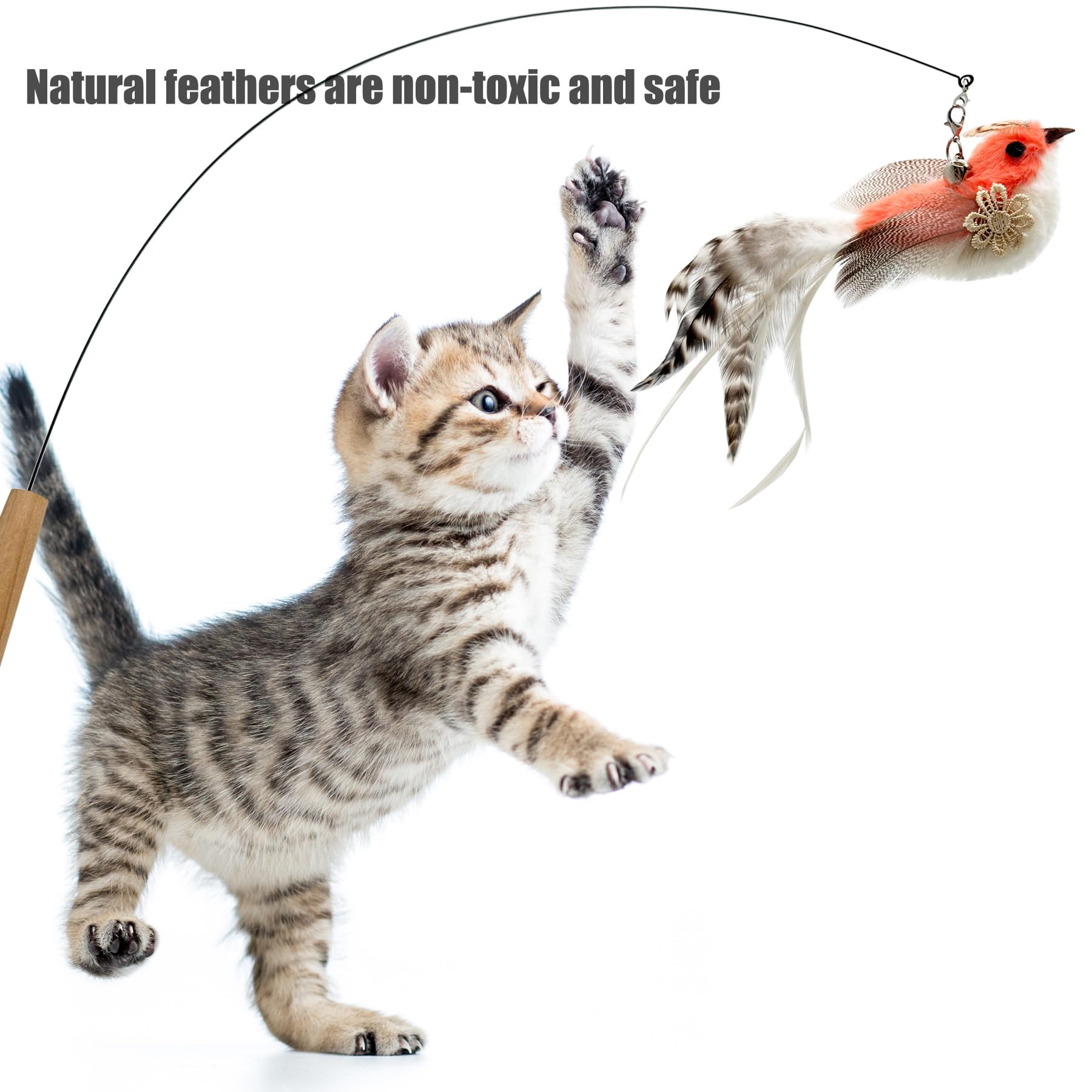 CATENEED gros plan sur texture plume et peluche, détail stimulant