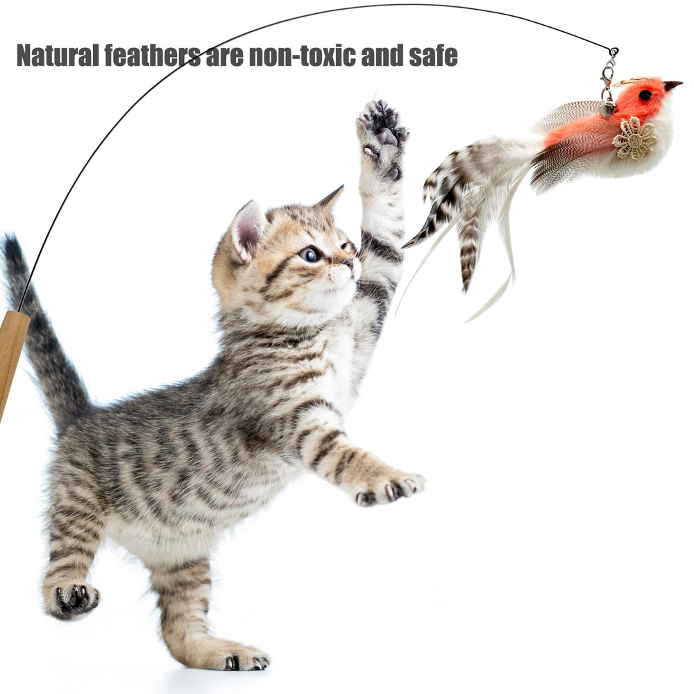 CATENEED gros plan sur texture plume et peluche, détail stimulant
