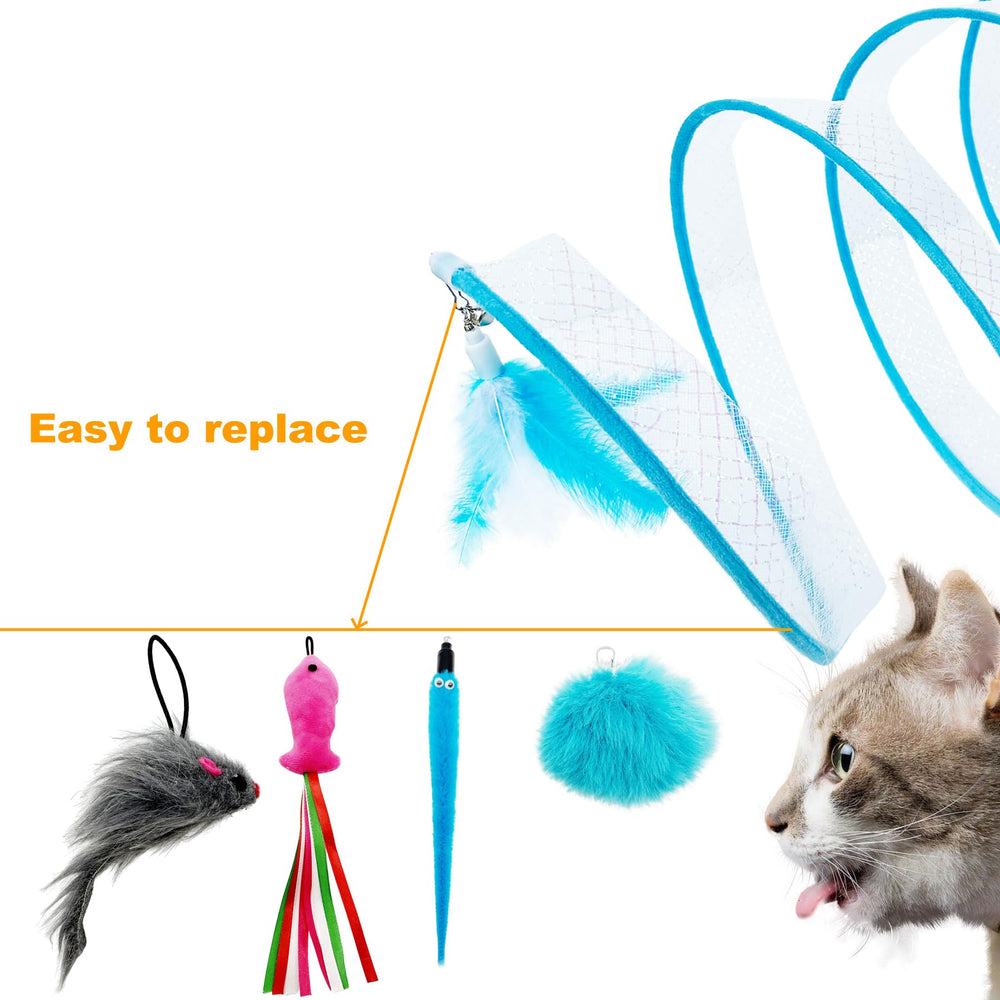 CATENEED chat explorant le tunnel stimulant l'activité et l'exercice quotidien