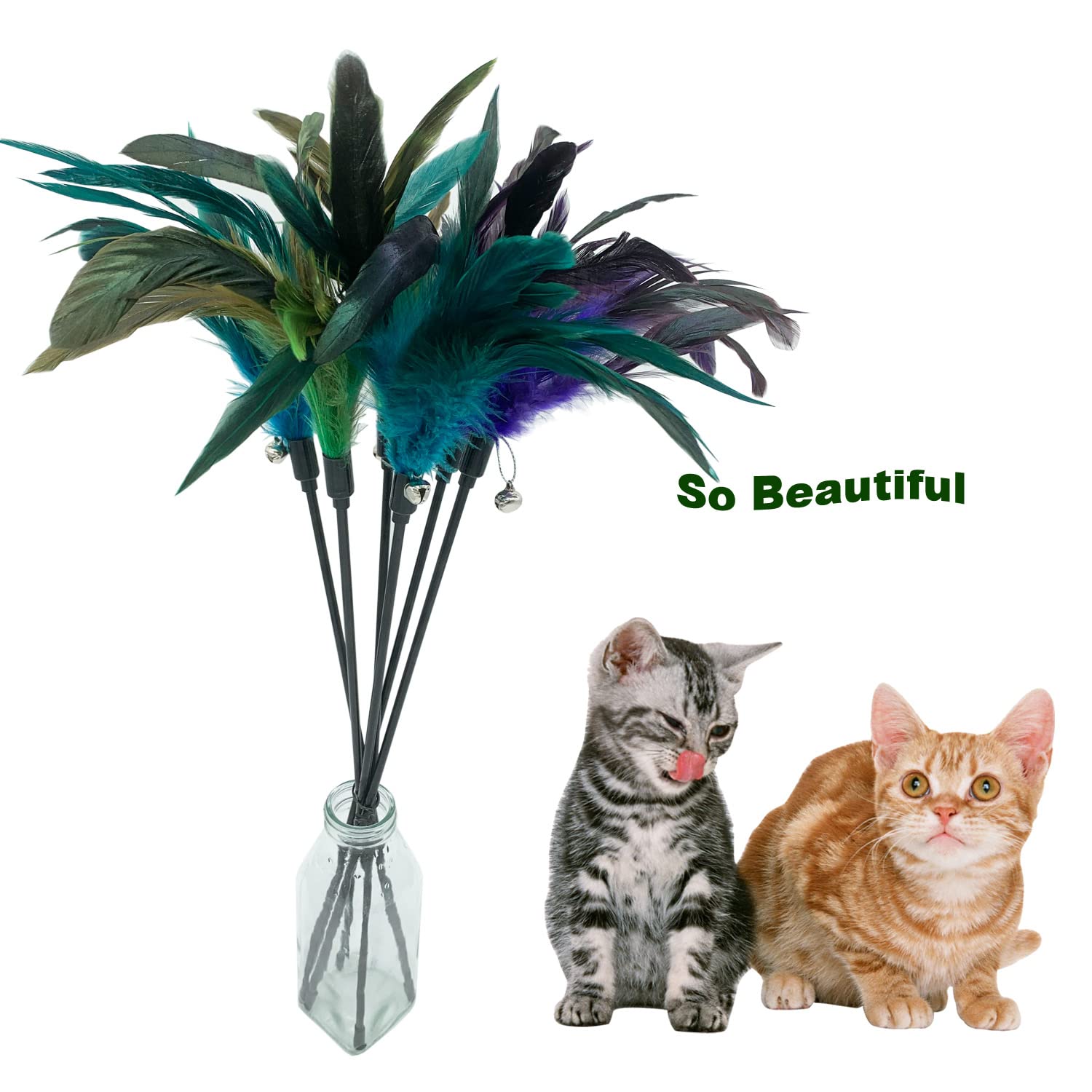 CATENESS gros plan sur les plumes colorées montrant texture et attractivité