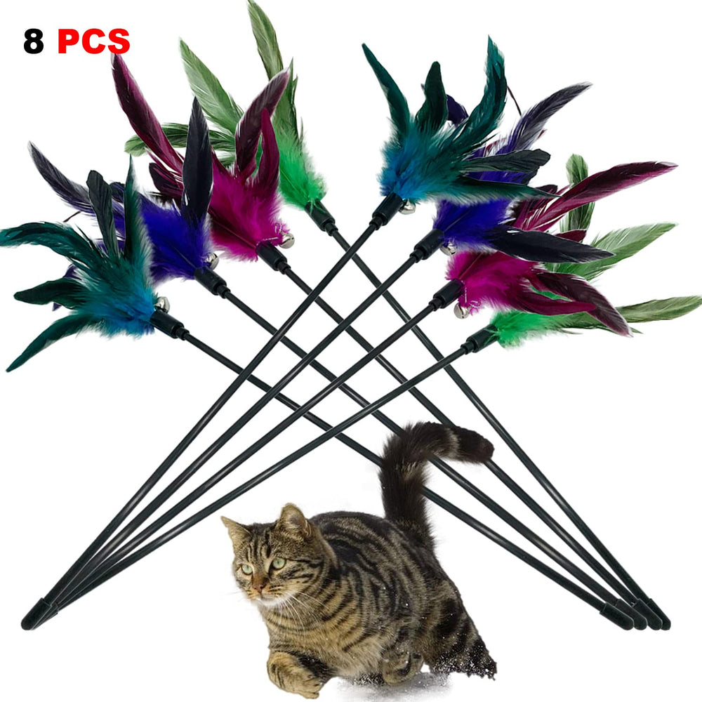 CATENESS ensemble rangé illustrant les huit pièces et la variété