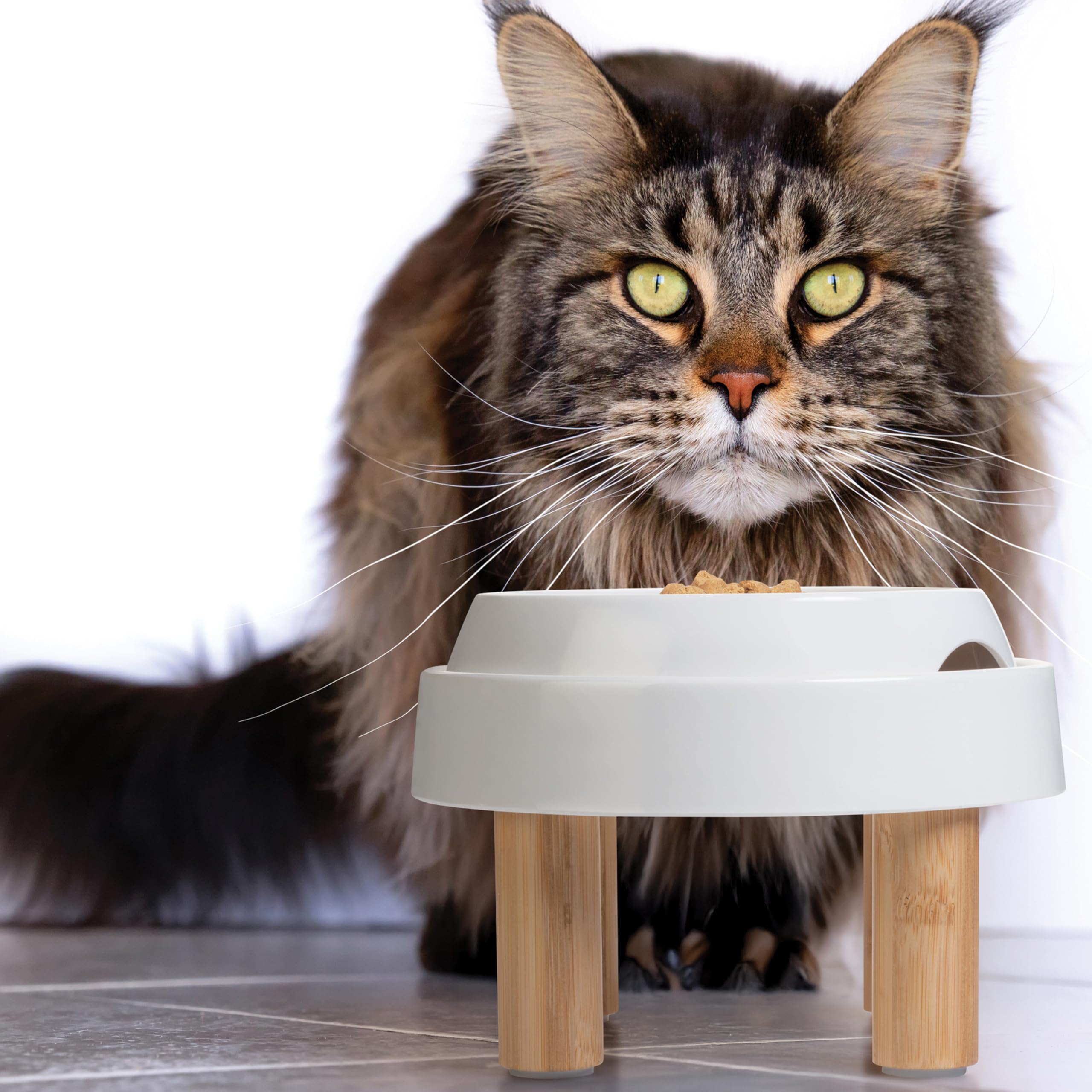 CatGuru station de repas placée dans une cuisine moderne, moins de dégâts