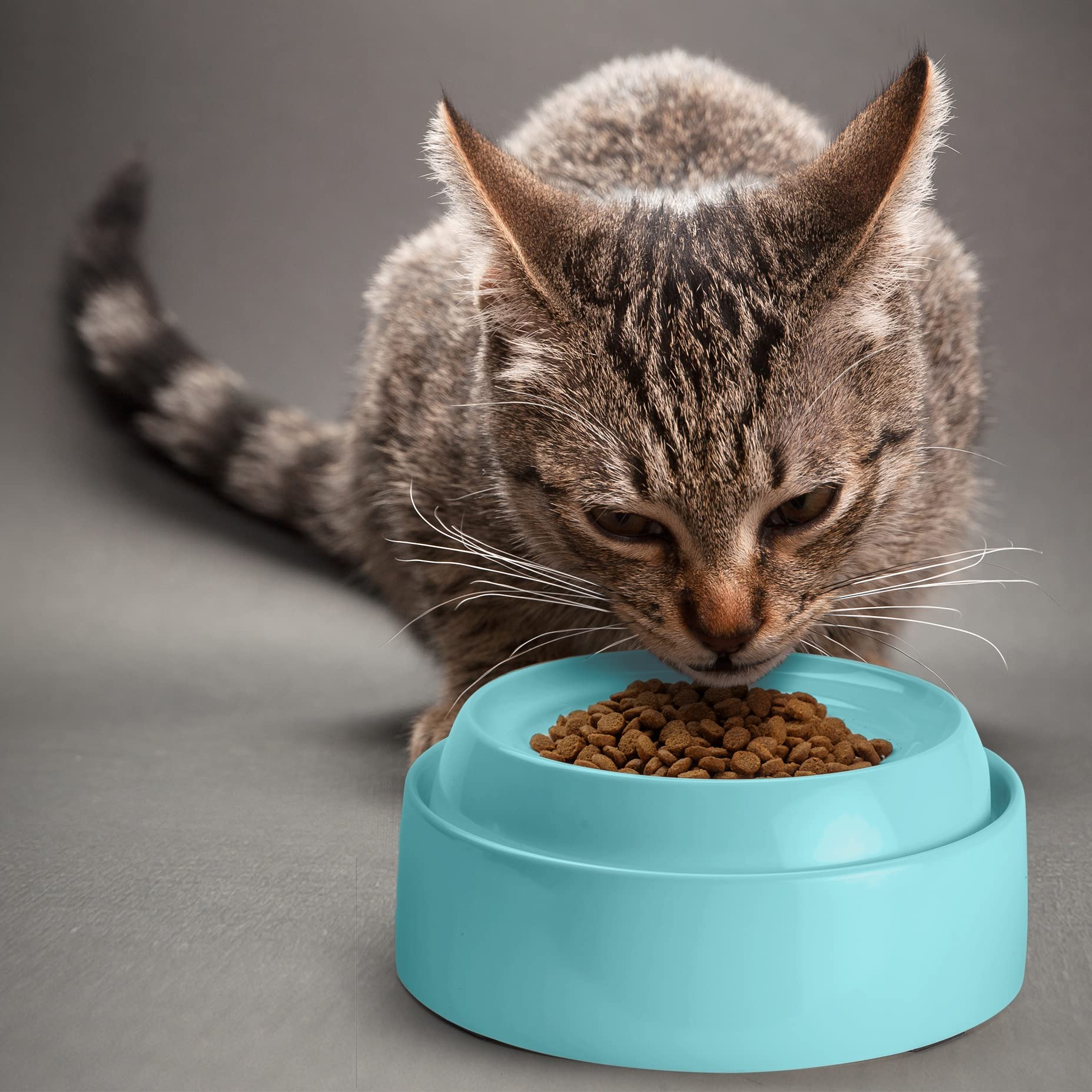 CatGuru étiquette matériau, indique finition sans BPA sûre