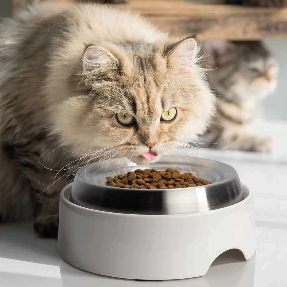 CatGuru chat mange facilement grâce à la forme peu profonde
